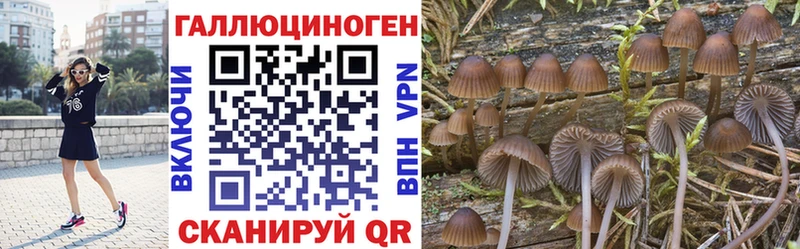 купить  сайты  Шуя  Галлюциногенные грибы ЛСД 